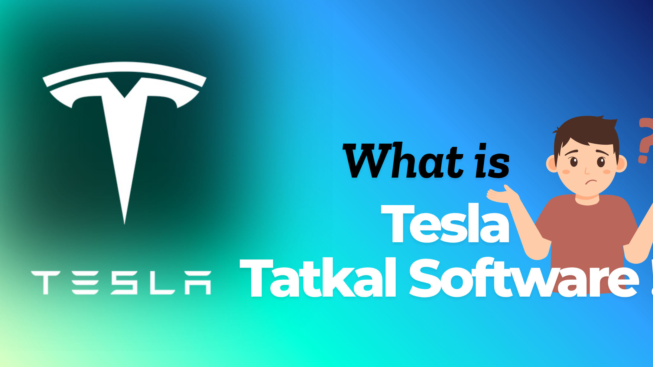 What is Tatkal Software explanation